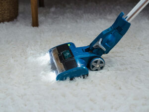 carpet cleaning